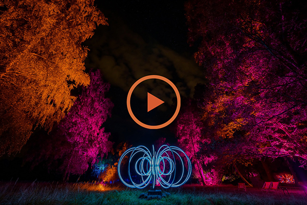circles of white light, torus, at center bottom, red and orange light painted forest around